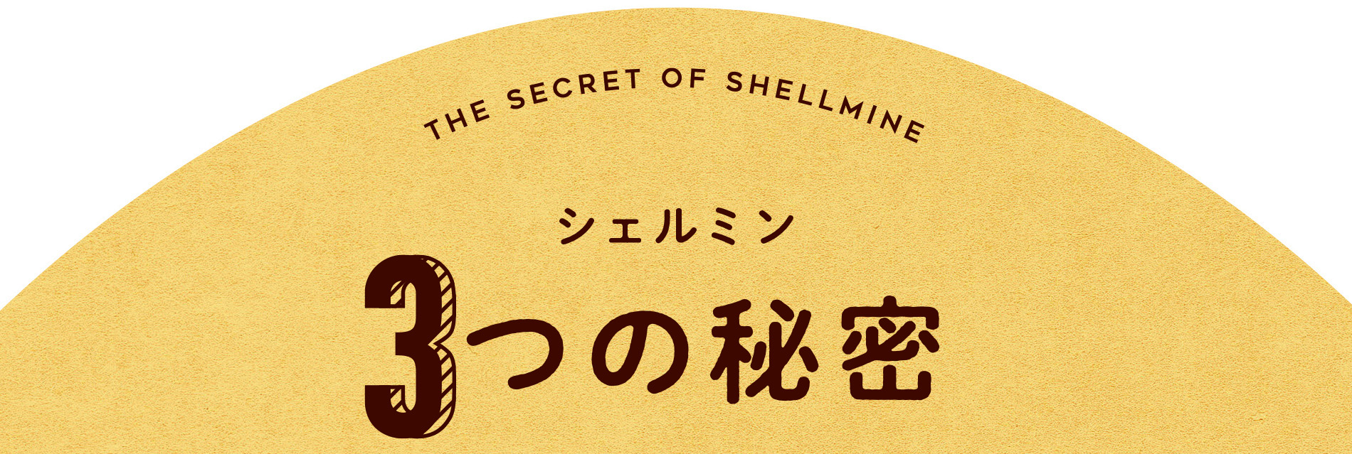 シェルミン3つの秘密